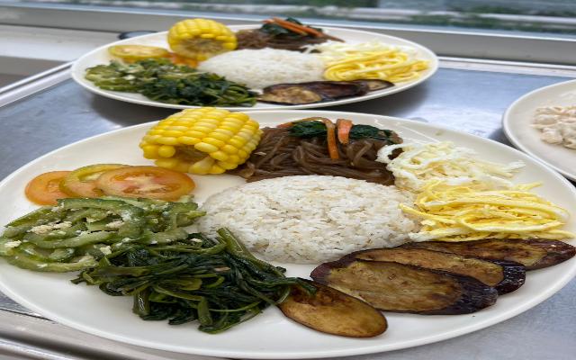 素食