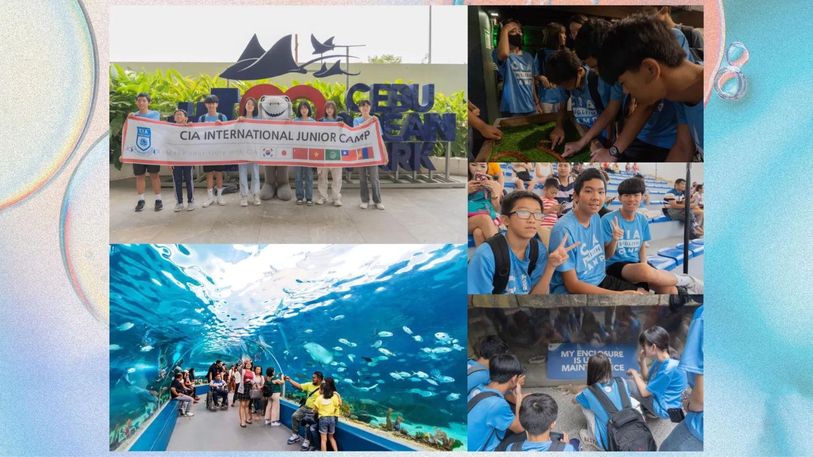Cebu Ocean Park 海洋公園活動