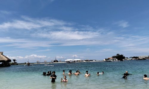 IB camp