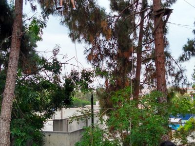IMG_20170724_141905350_HDR