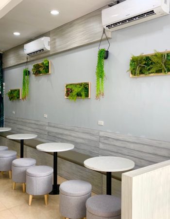 Mega Milk Bubble Tea Shop (Mabolo Gagfa)