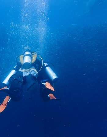 MoalBoal Dive Bar Pro Training Center 宿霧墨寶潛吧潛水中心