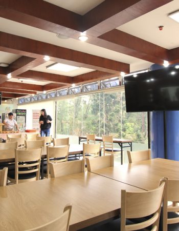 PINES INTERNATIONAL ACADEMY -碧瑤