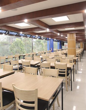 PINES INTERNATIONAL ACADEMY -碧瑤