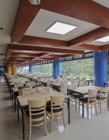 PINES INTERNATIONAL ACADEMY -碧瑤