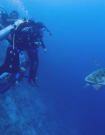 MoalBoal Dive Bar Pro Training Center 宿霧墨寶潛吧潛水中心