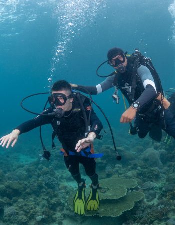 MoalBoal Dive Bar Pro Training Center 宿霧墨寶潛吧潛水中心