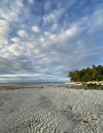 Sabas Beach & Campsite (Siquijor女巫島)